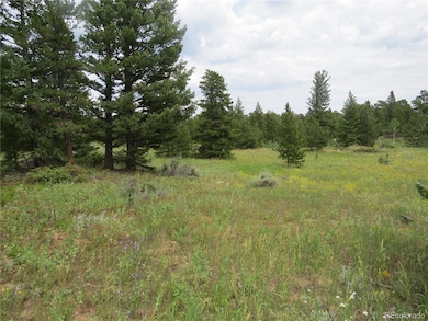 0 Peak To Peak Hwy unit REC2002177, Nederland, CO 80466 - photo 7