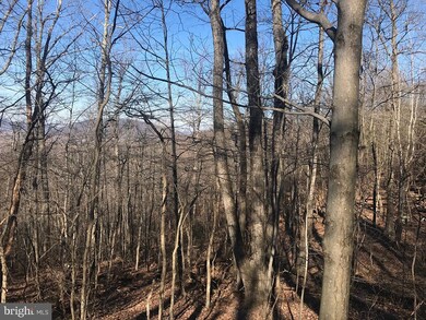 none Wilson Rd, Marshall, VA 20115 - photo 6