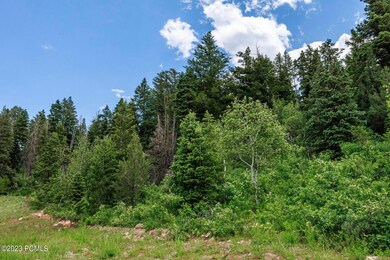4095 West Crest Court Unit 304 Park City