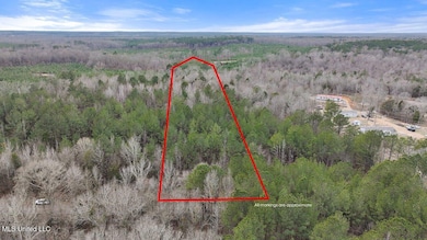 Stump Bridge Rd outlined