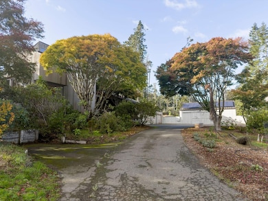 36029 Timber Ridge Rd, the Sea Ranch, CA 95497 - photo 5