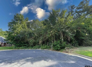 603 Steeple Ct, Tyler, TX 75703 - photo 2