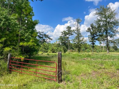0 Mississippi 13 unit 4124572, Morton, MS 39117 - photo 3