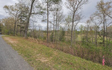 Additional View