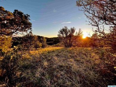 45 Rachel Rd, Silver City, NM 88061 - photo 5