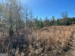 871 Eufaula Hwy, Fort Gaines, GA 39851 - photo 3