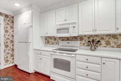 103 Brightwood Club Dr, Lutherville Timonium, MD 21093 - photo 7