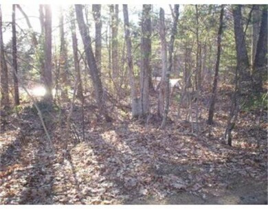 0 Woodbine Terrace, Spencer, MA 01562 - photo 3