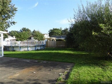 The back yard.
