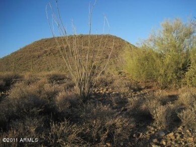 zimmerman_lot_011