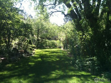 lush level lawn