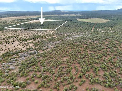 11189 Huckleberry Rd, Ash Fork, AZ 86320 - photo 2