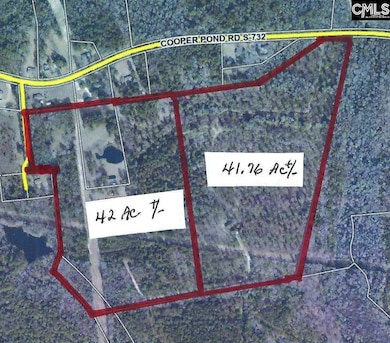 166 Cooper Pond Rd, Salley, SC 29137 - photo 2