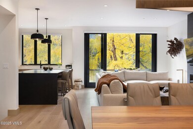 42 Riverfront Ln unit 2, Avon, CO 81620 - photo 2