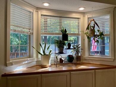 Living room bat window