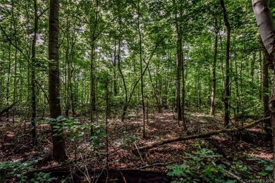 Lot 2 Stockbridge Ln, Statesville, NC 28625 - photo 5