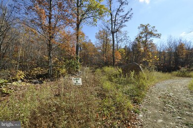 LOT A Crystal Falls Dr, Smithsburg, MD - photo 6