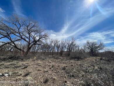 IMG-7782