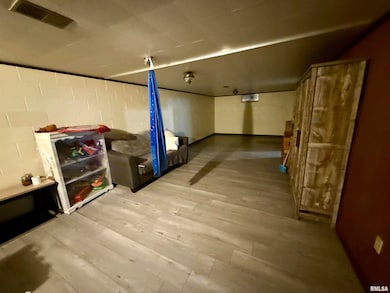 331 6th St, Colona, IL 61241 - photo 7