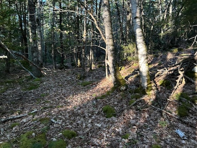 M6L43 Biscay Rd, Medomak, ME 04551 - photo 4