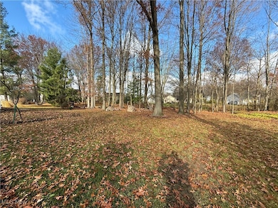 34 Chadbourne Dr, Hudson, OH 44236 - photo 7