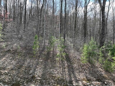 270R Stone Cliff Dr, Ellijay, GA 30536 - photo 6