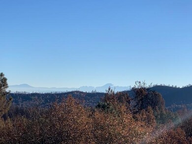IMG_7384