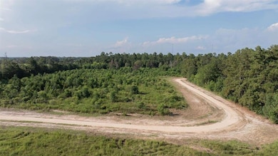 TBD Hwy 171 Hwy, Longville, LA 70652 - photo 2