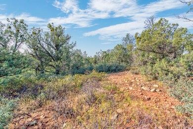 811 E Phoenix Street (4)