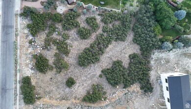 Aerial view of the lot