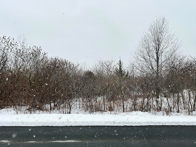 1614 66th St, Fennville, MI 49408 - photo 2