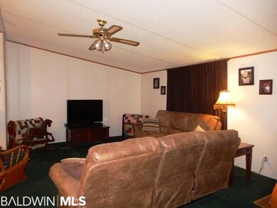 420 Pleasant View Dr, Atmore, AL 36502 - photo 6