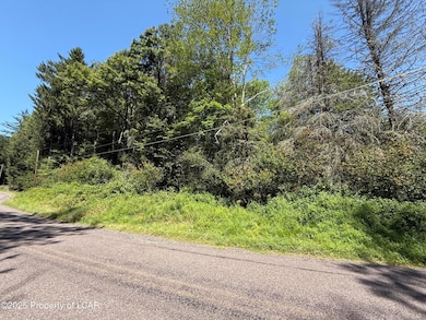 10 Peatmoss Rd, White Haven, PA 18661 - photo 5