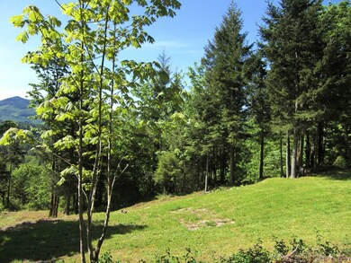 0 Reese Hill Rd unit 637157, Sumas, WA 98295 - photo 6