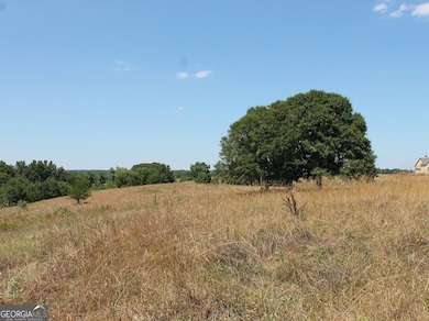 5624 Sandy Creek Rd, Madison, GA 30650 - photo 3