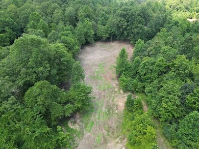 3042 Sheep Ranch Rd, Robbins, TN 37852 - photo 3