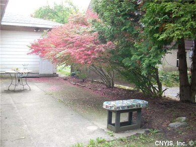 Yard/Garden