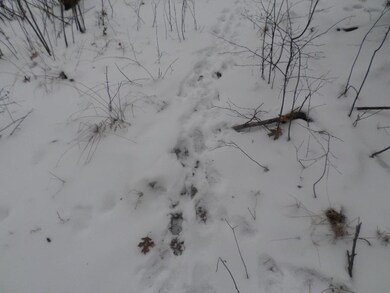 0 County Road H unit 1734948, Cutler, WI 54618 - photo 3