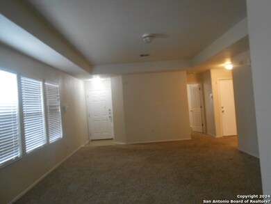 3907 Mas Frio, San Antonio, TX 78223 - photo 5