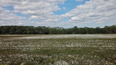 2864 McConnell Bridge Rd, Adel, GA 31620 - photo 3