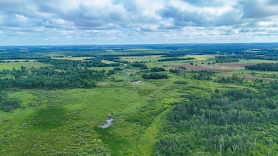 TBD Timberlane Rd, Staples, MN 56479 - photo 3