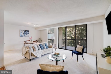 The Barkley unit 406, Arlington, VA 22204 - photo 5