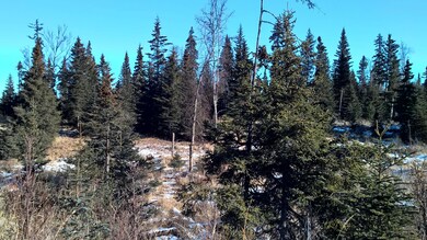 WP_20150313_12_17_42_Pro.jpg