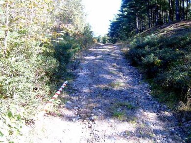 Land/Lot.