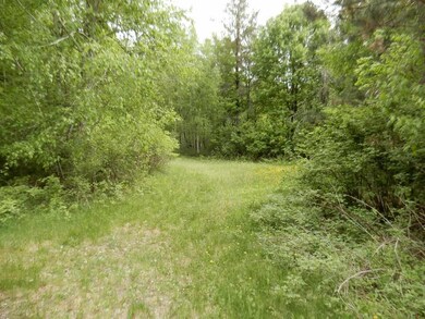 6550 Ccc Rd, Danbury, WI 54830 - photo 6