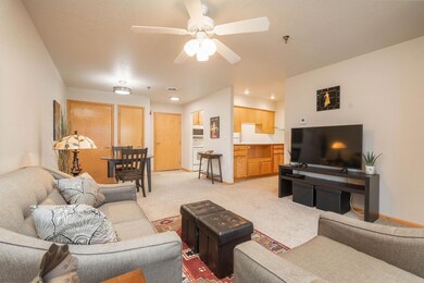 4305 Autumn Ridge Rd unit 218, Cedar Falls, IA 50613 - photo 6
