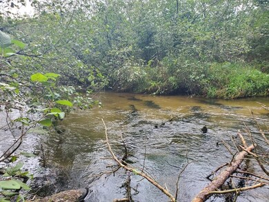 00 Parkside Ave, Yates Township, MI 49642 - photo 2