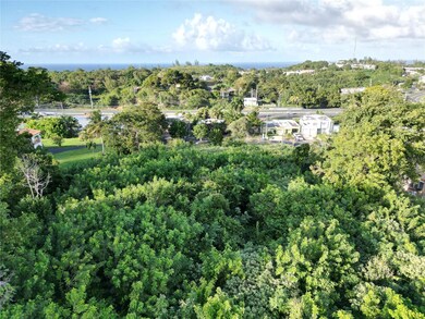 Panoramic view