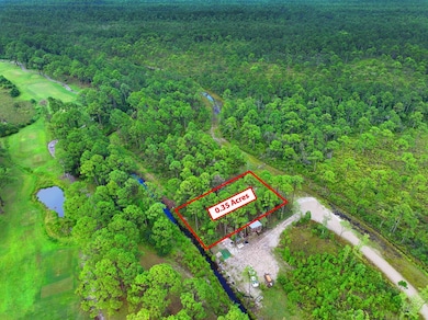 300 Golf View Dr, Port St. Joe, FL 32456 - photo 4