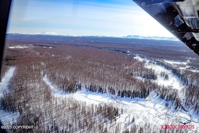 21577 E Quarah Lake Ave, Talkeetna, AK 99676 - photo 7